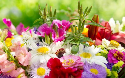 Choosing the Right Florist in Ankeny